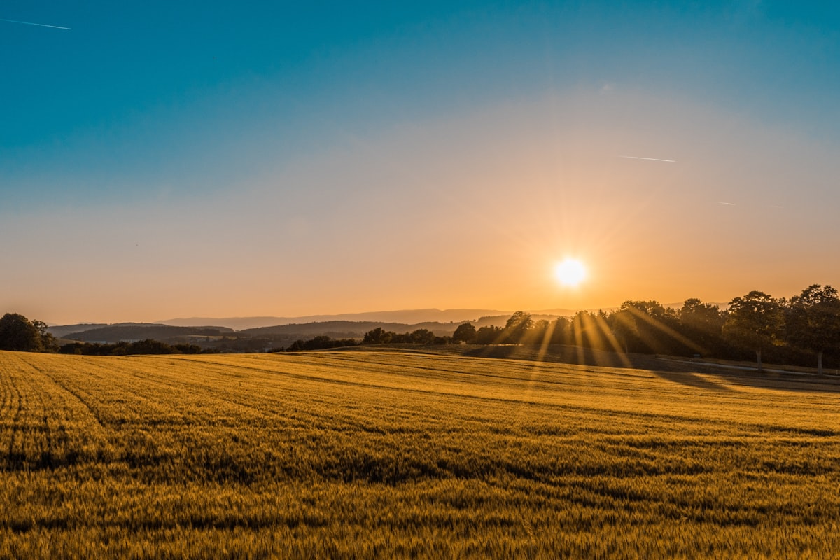 Life Insurance for Rural Nevada Residents